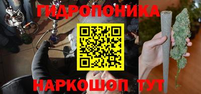 тгк Можга